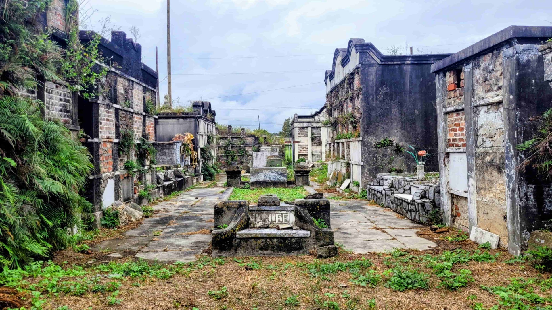 Verwilderter Friedhofsgang zwischen alten Backsteinmauern, überwuchert mit Pflanzen, mit Grabsteinen und Betonfundamenten.